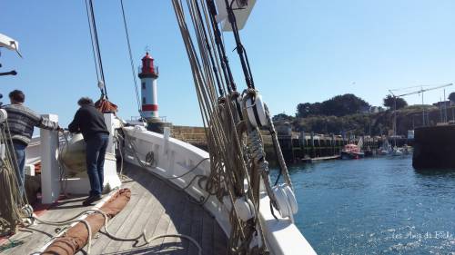Biche  Groix  Jacques Mollero